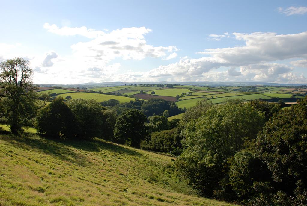 Kerswell Farmhouse Totnes Exteriér fotografie