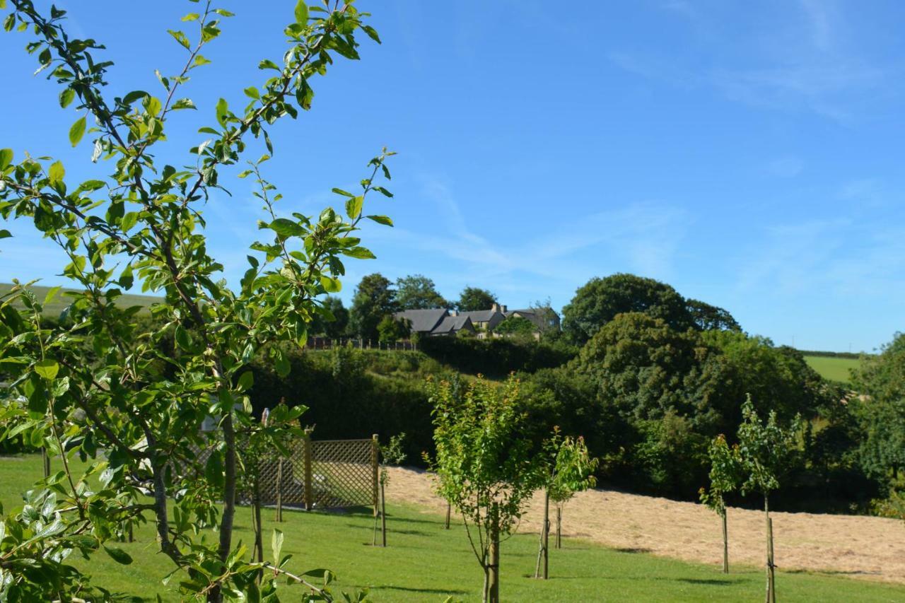 Kerswell Farmhouse Totnes Exteriér fotografie